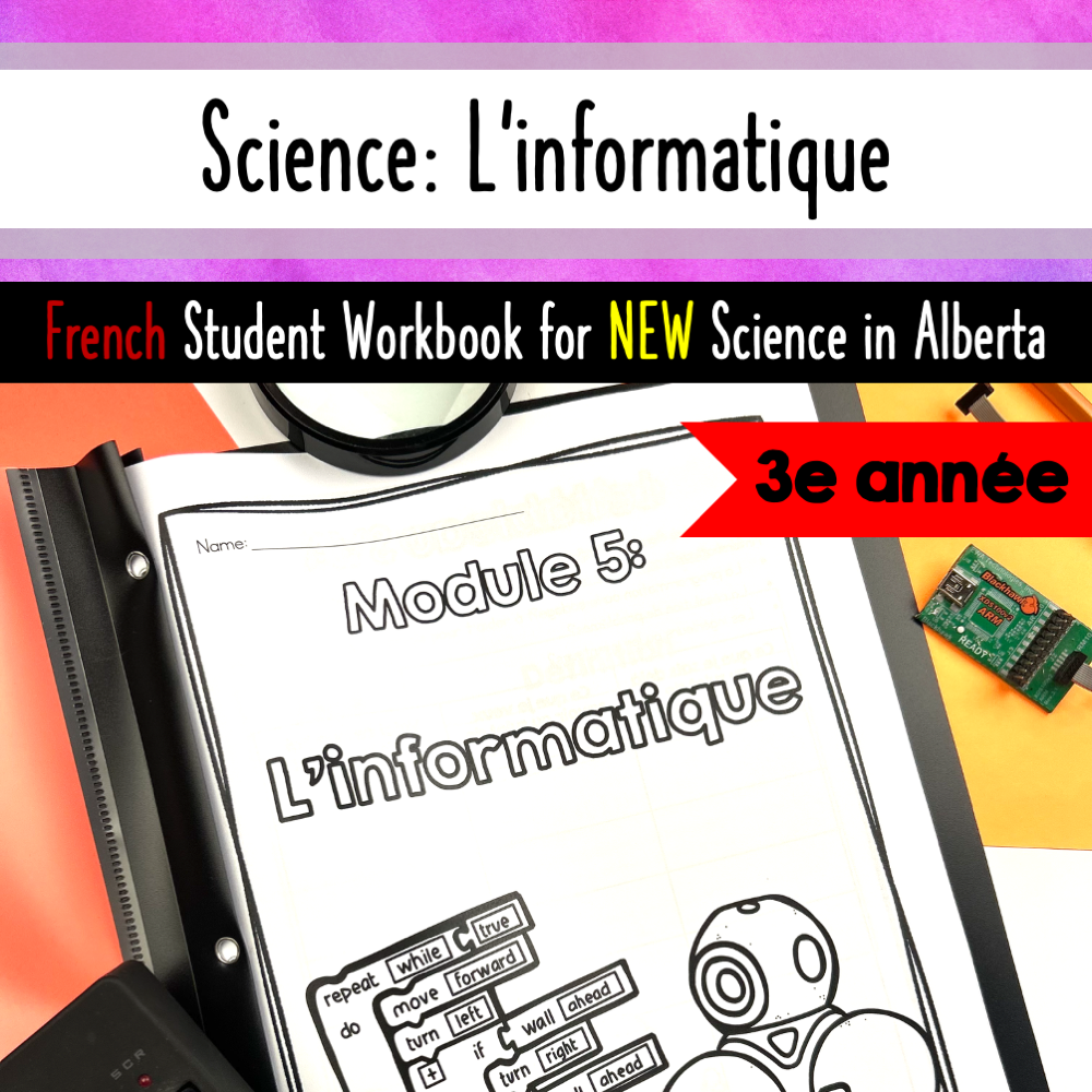 French Computer Code FRENCH Computer Science Unit Grade 3 Alberta - Worksheets Activities W ...