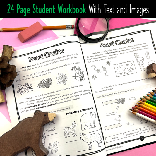 Science Living Systems Grade 3 Alberta - Worksheets Activities Workbook
